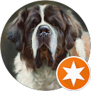 Ben Pham profile picture