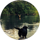 Kelly Totten profile picture